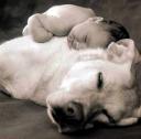 Baby sleeping on the puppy